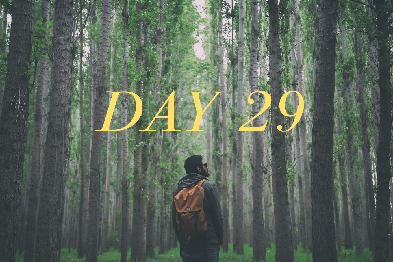 Day 29: April 4, 2022