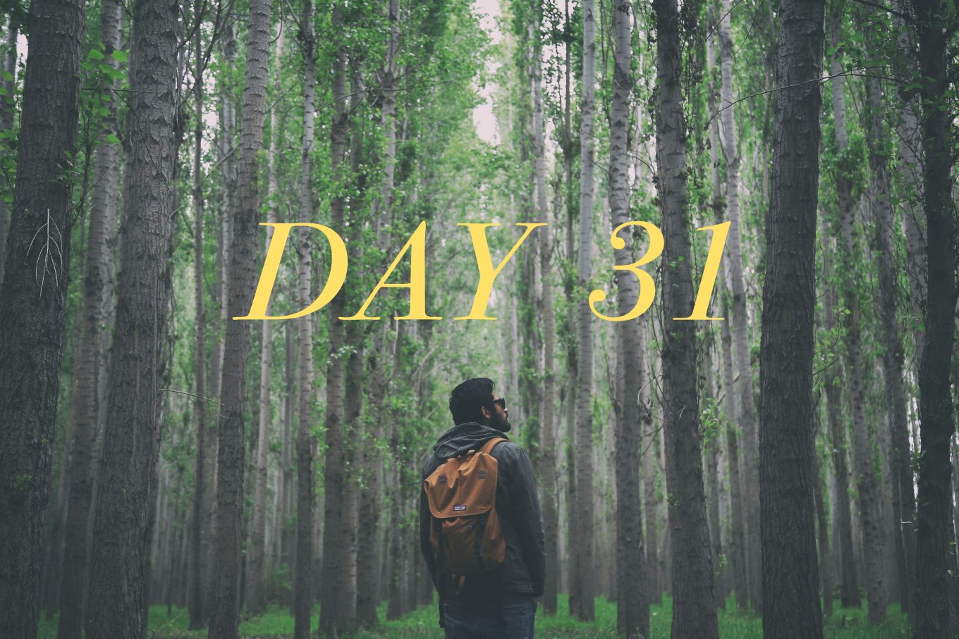 Day 31: April 6, 2022