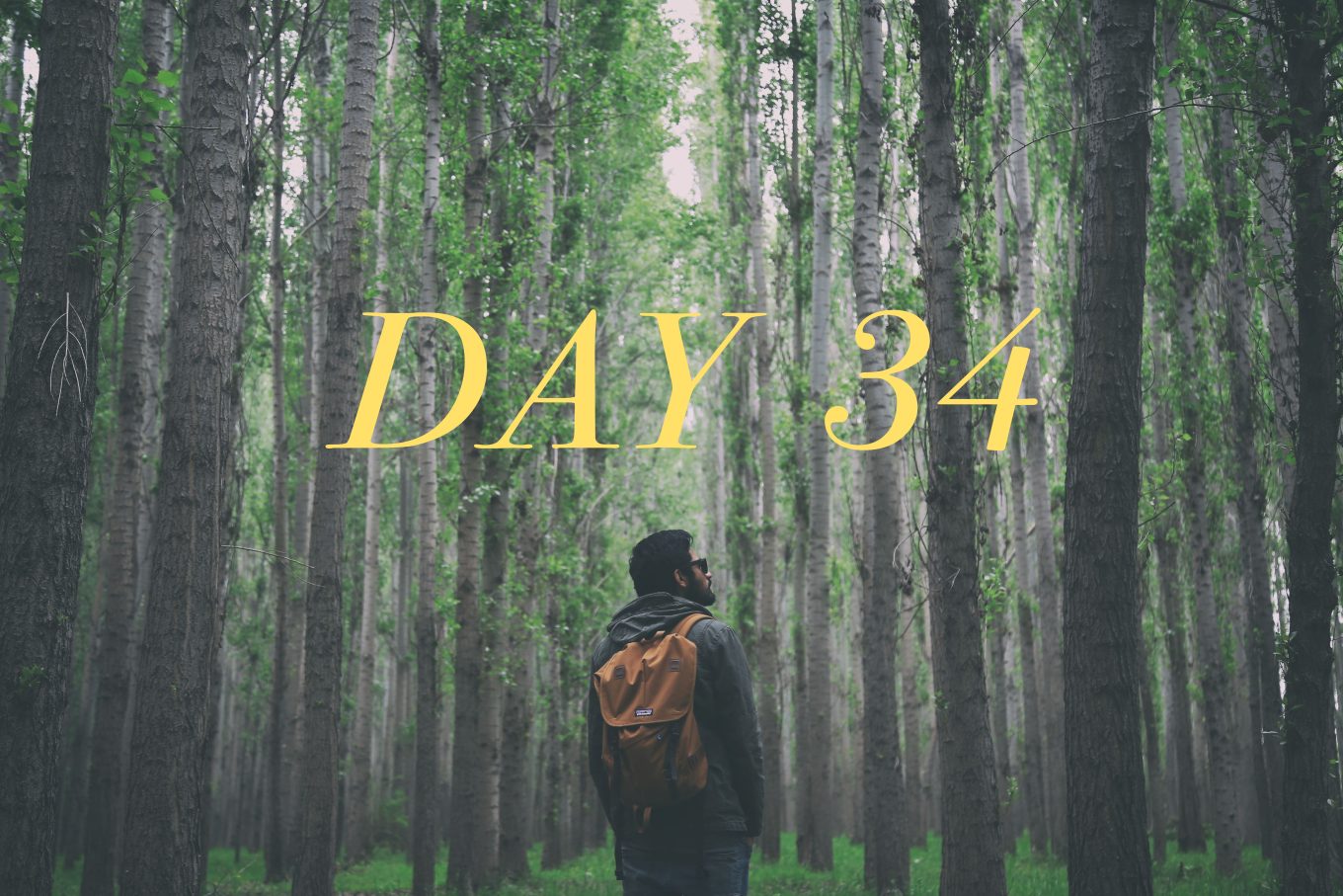 Day 34: April 9, 2022