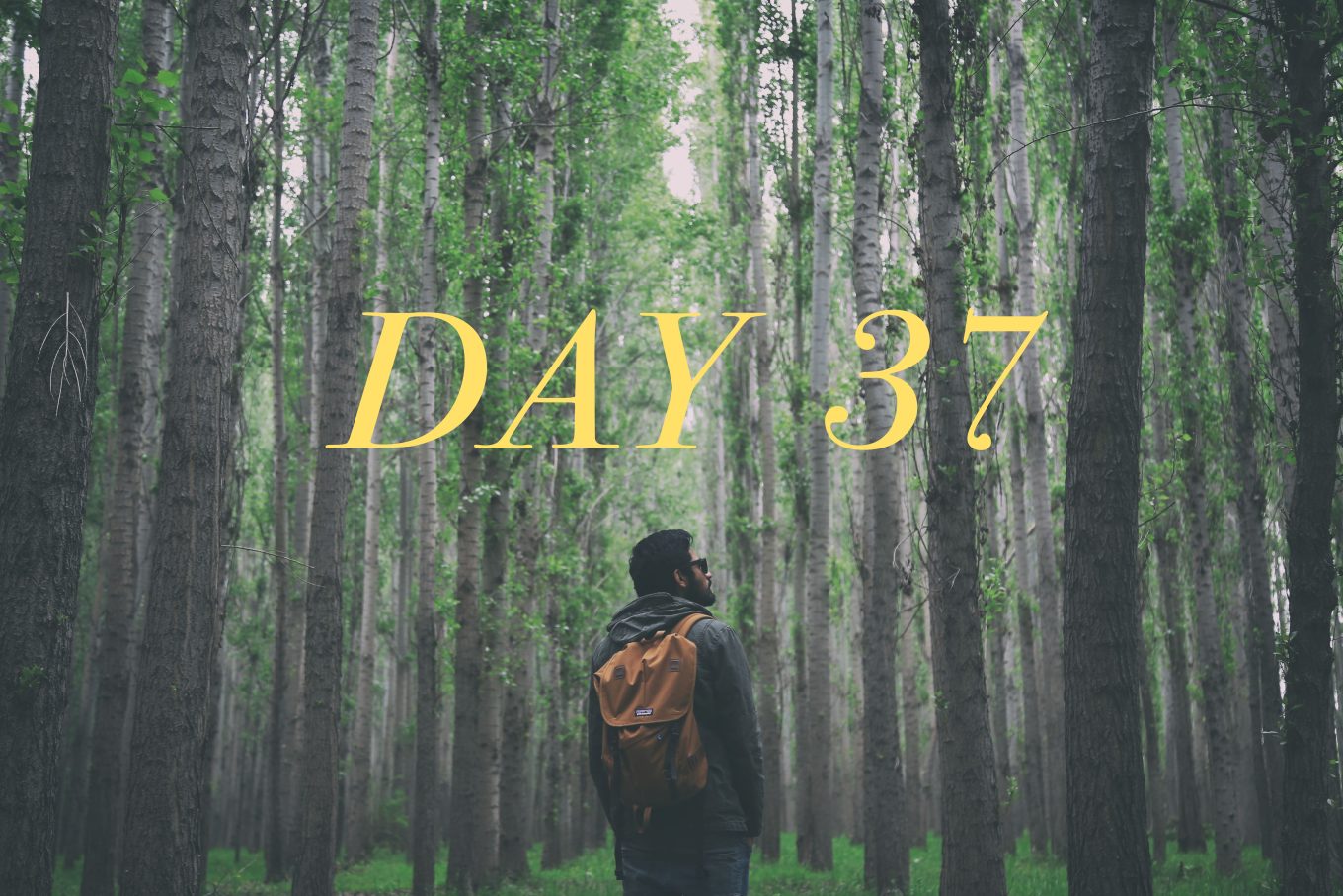 Day 37: April 13, 2022