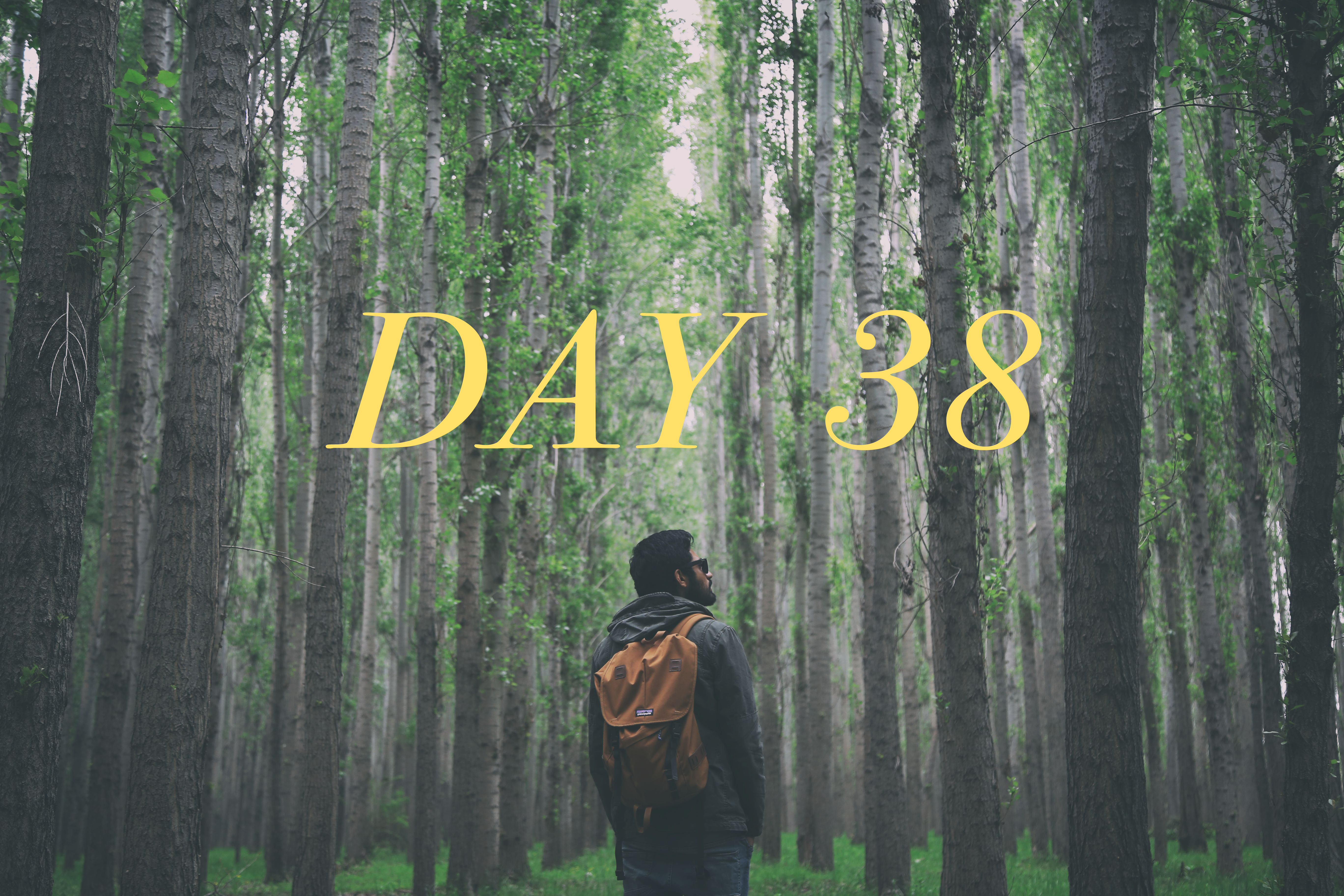 Day 38: April 14, 2022